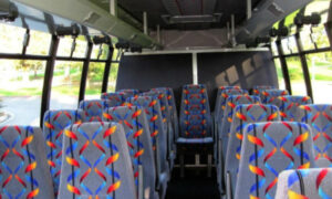 20 person mini bus rental Carney
