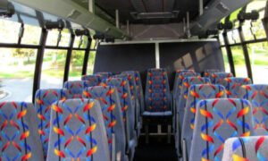 20 person mini bus rental Clarksville