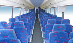 50 person charter bus rental Clarksville